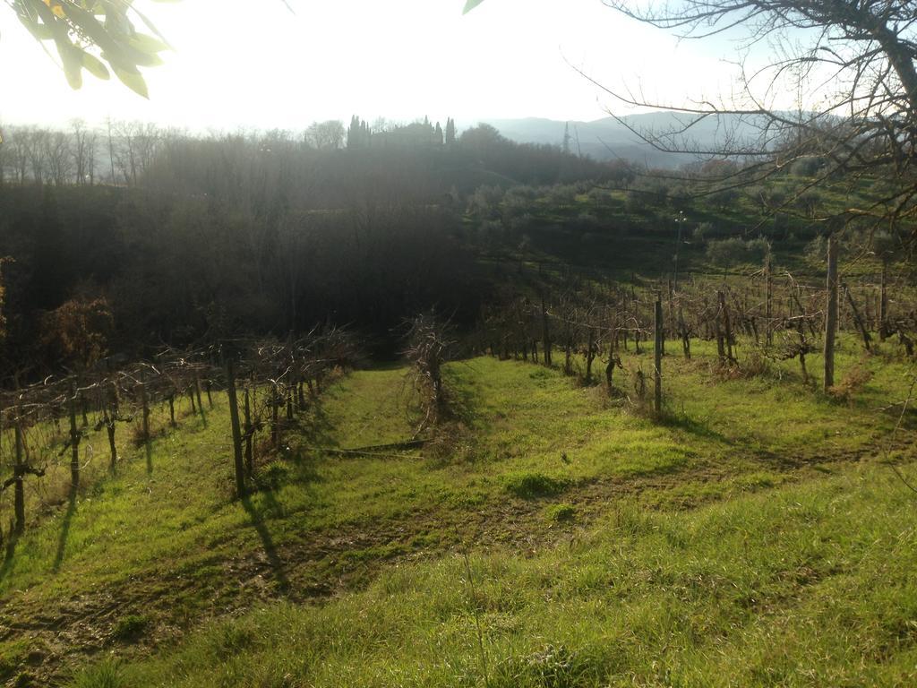 Podere San Lorenzo Терануова Брачолини Екстериор снимка